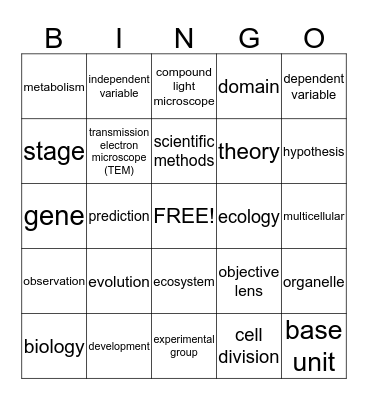 Chapter 1 Key Terms Bingo Card