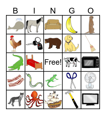 Animal or Not Bingo Card