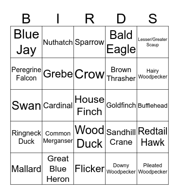 Exotic Bird Bingo Card