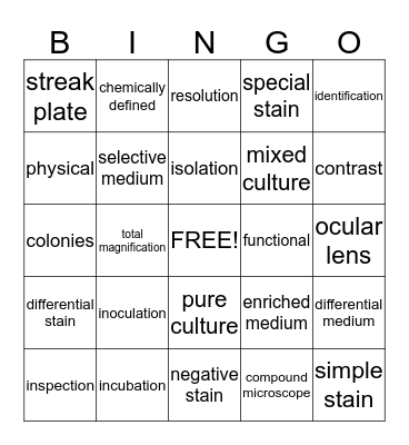 Chapter 2 Tools of the Lab Bingo Card