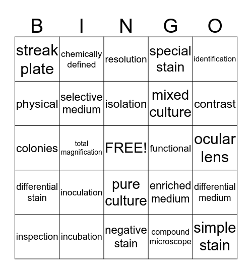 Chapter 2 Tools of the Lab Bingo Card