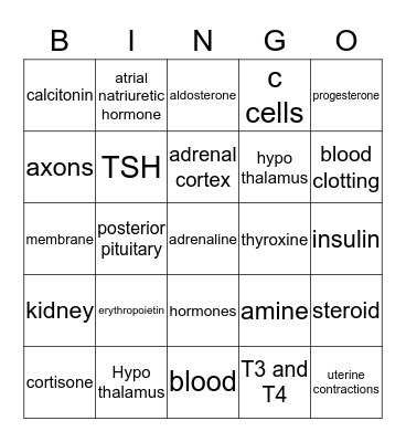 Endocrine Bingo Card