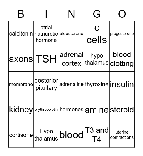Endocrine Bingo Card