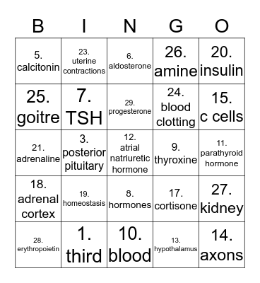Endocrine Bingo Card