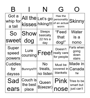 Is your dog really CHARM? Bingo Card