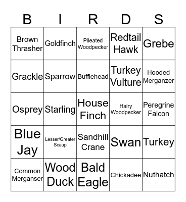 Exotic Bird Bingo Card