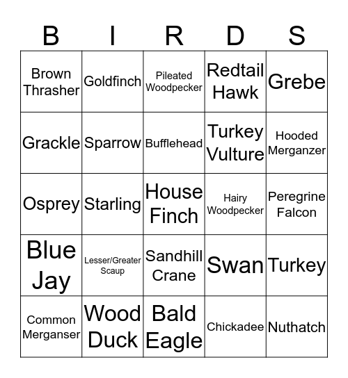 Exotic Bird Bingo Card