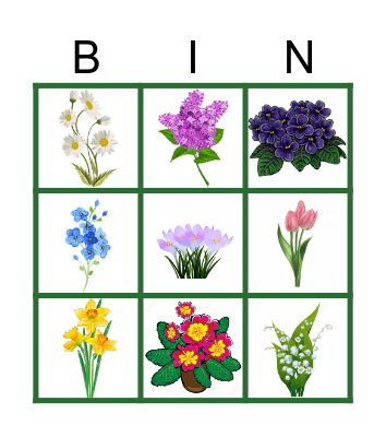 spring flowers Bingo Card