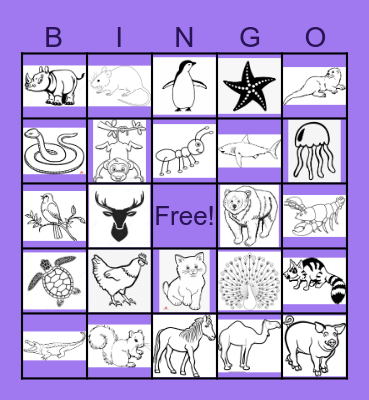 NWSRA ANIMAL BINGO Card