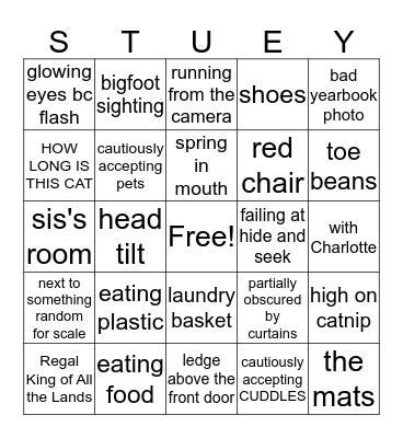 Stuart Bingo Card