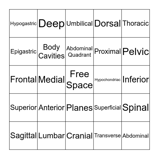 Structural Organizations Bingo Card