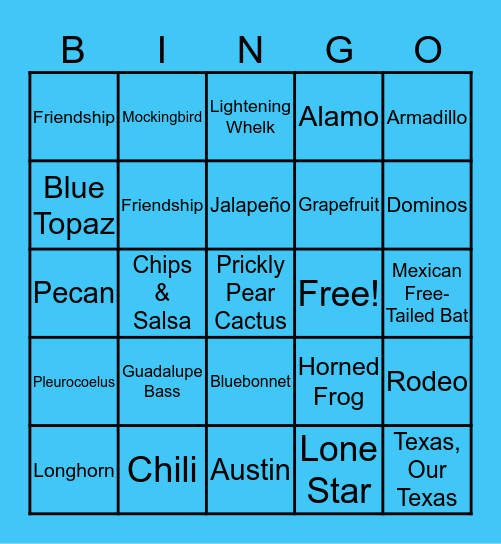 Texas Symbols Bingo Card