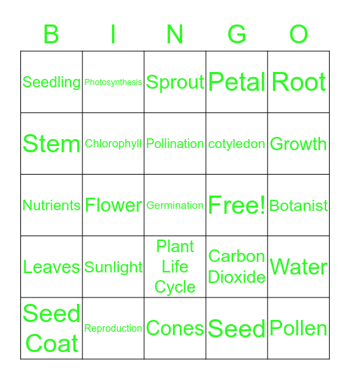 The Plant Life Cycle BINGO Card