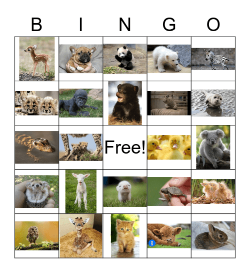 Baby Animals Bingo Card