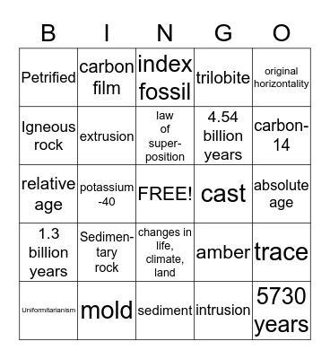 Fossils Bingo Card