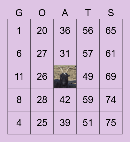 Lewis Oliver Farm Sanctuary Bingo Card