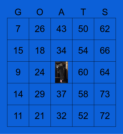 Lewis Oliver Farm Sanctuary Bingo Card