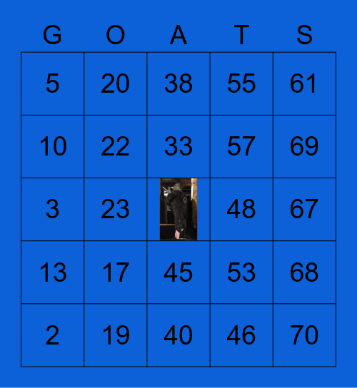 Lewis Oliver Farm Sanctuary Bingo Card