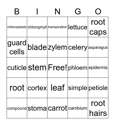 plants #1 Bingo Card