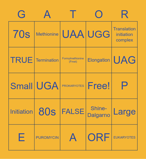 L46: TRANSLATION PART 2 BINGO Card