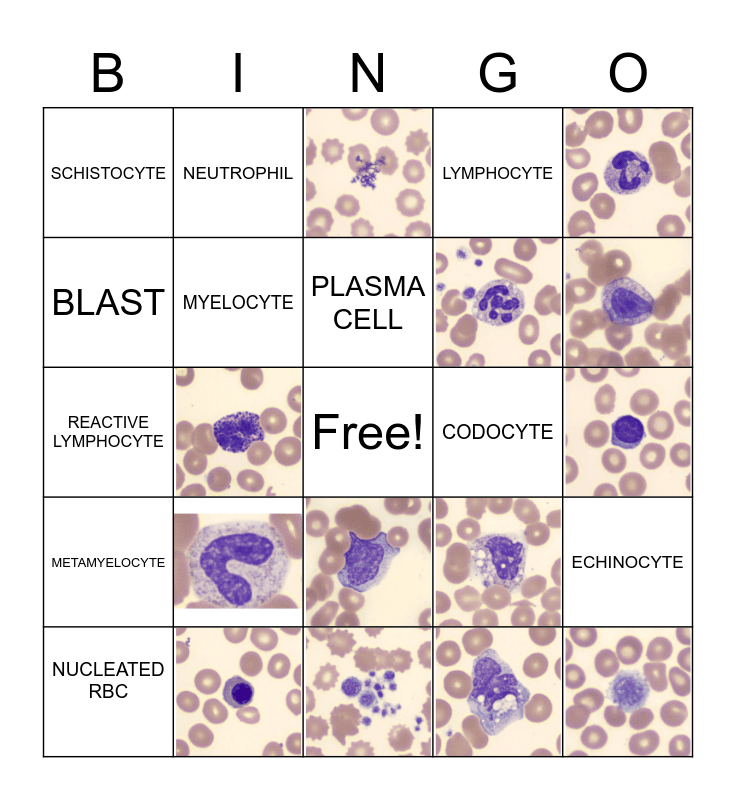 HEMATOLOGY BINGO Card