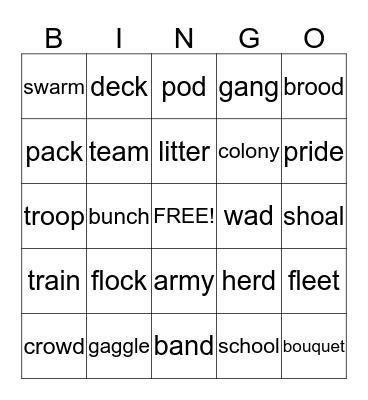 COLLECTIVE NOUNS Bingo Card