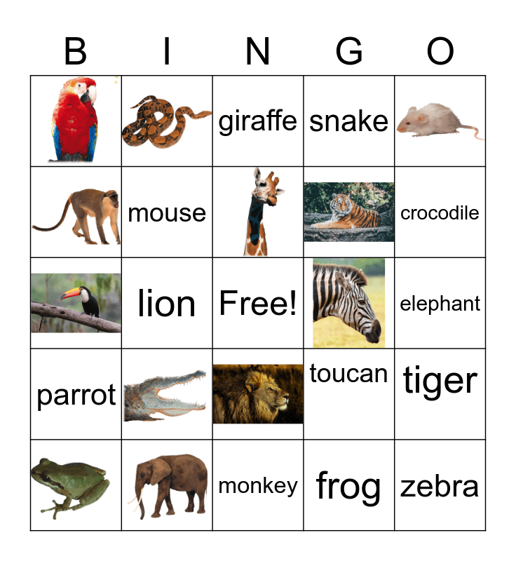 JUNGLE BINGO Card