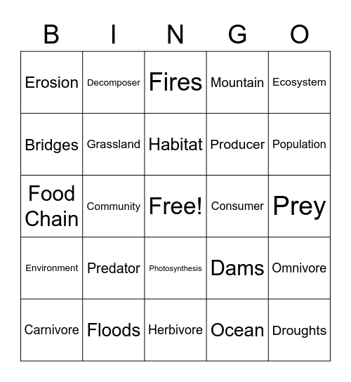 Grade 3: Ecosystems & Interactions Bingo Card
