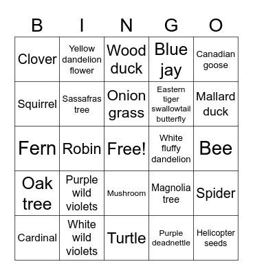 Greenbelt Species Bingo Card