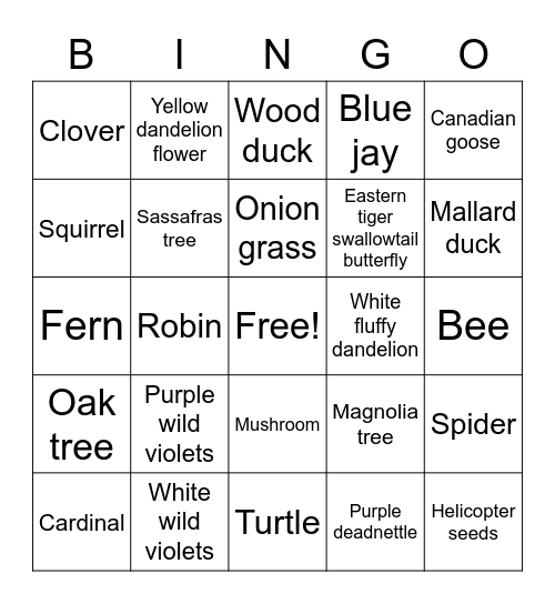 Greenbelt Species Bingo Card