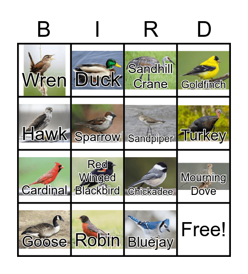 Bird Bingo Card