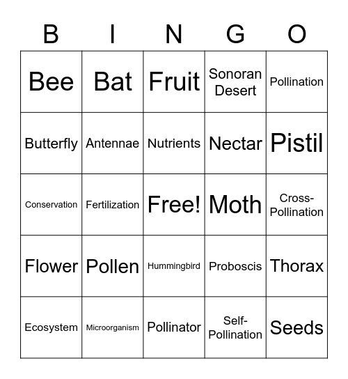 Pollinator Bingo Card