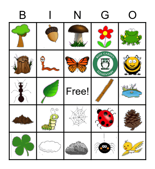 nature bingo 3 4 year olds