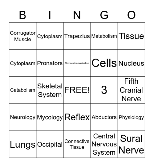 Chapter 6 Anatomy and Physiology Bingo Card