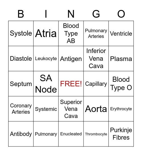 Circulation Blood and Immunity Bingo Card