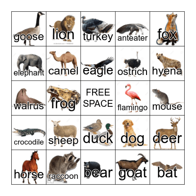 Animal Bingo Card