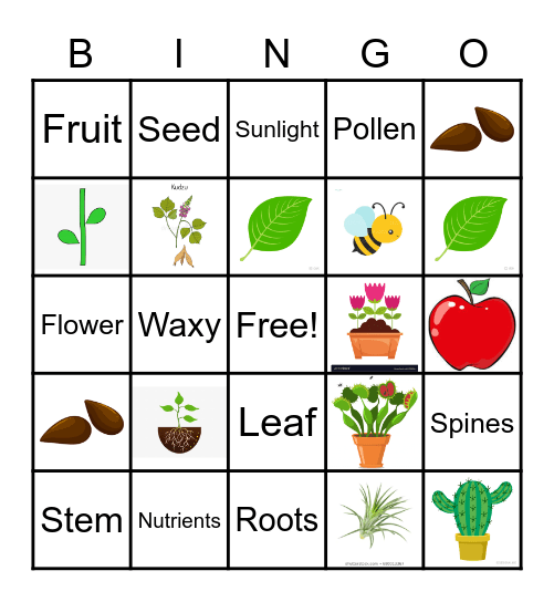 Plants! Bingo Card