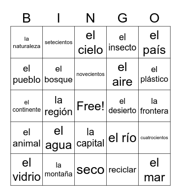 Novicio B Unidad 8 Bingo Card