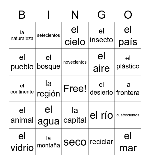 Novicio B Unidad 8 Bingo Card