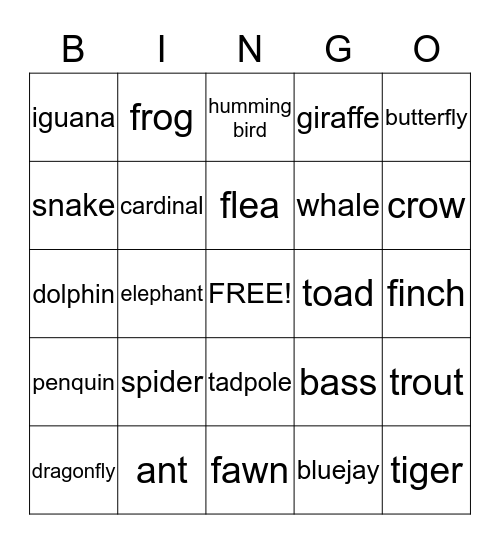 The Animal Kingdom Bingo Card