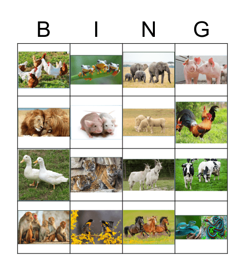 ANIMALS Bingo Card