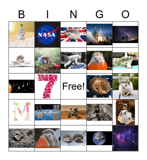 Millie's Birthday Bingo Card