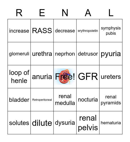 RENAL Bingo Card