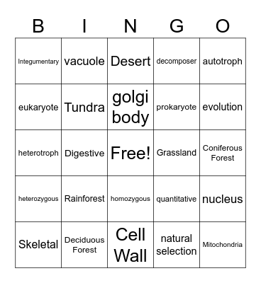 Body Systems Part I Bingo Card