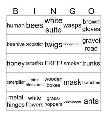INSECTS Bingo Card