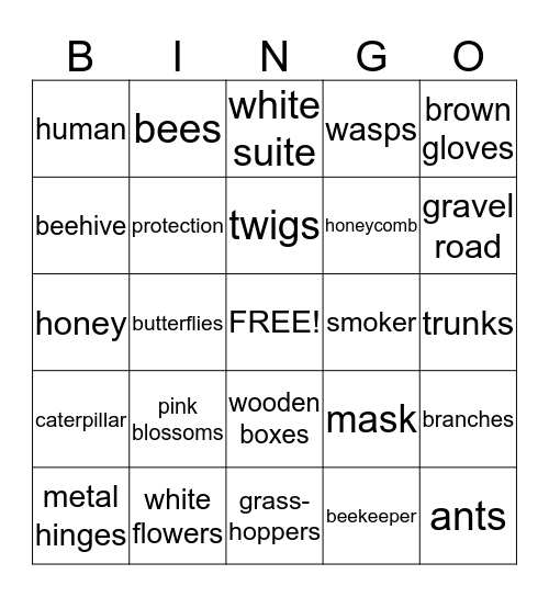 INSECTS Bingo Card