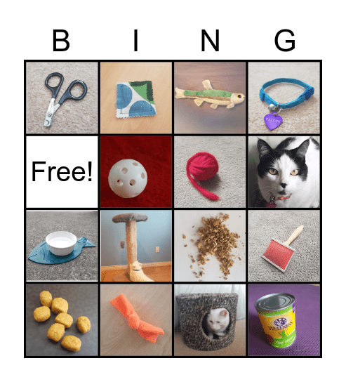Cannery Cat Bingo Card