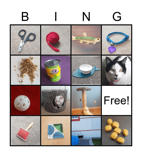 Cannery Cat Bingo Card