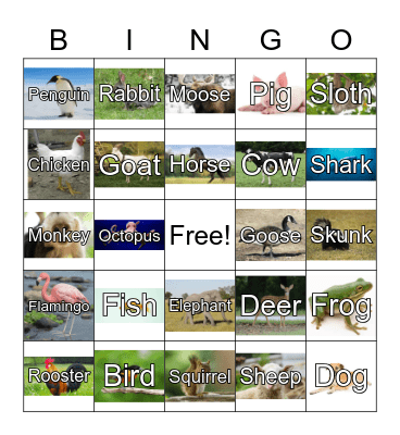 Animal Bingo Card