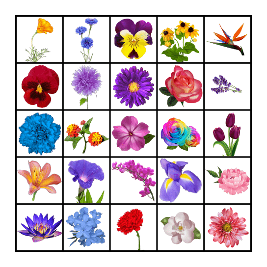 Flower Bingo Card